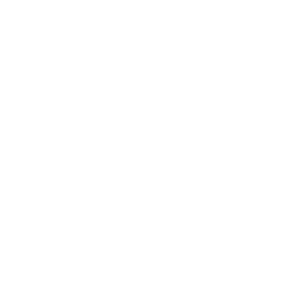 Femme enceinte